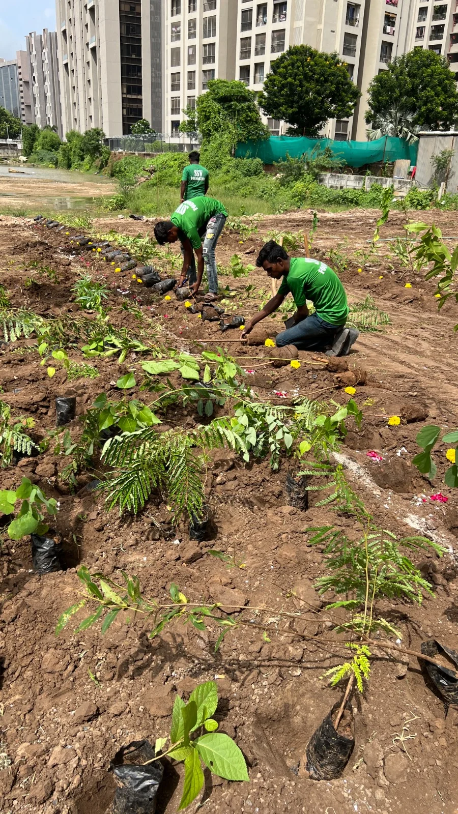 Environmental conservation initiative – Tree Plantation