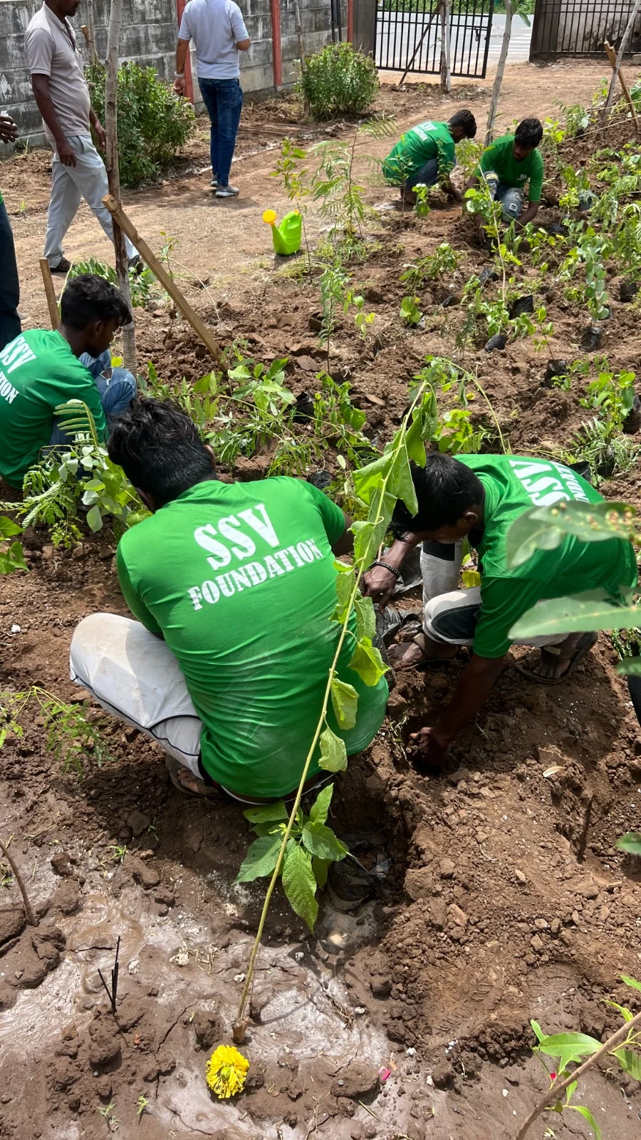 Environmental conservation initiative – Tree Plantation