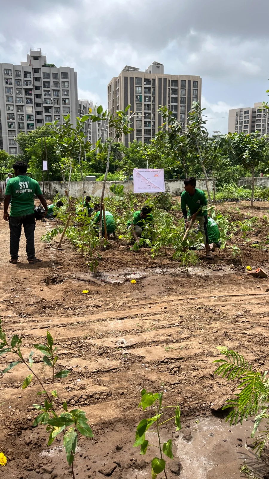 Environmental conservation initiative – Tree Plantation