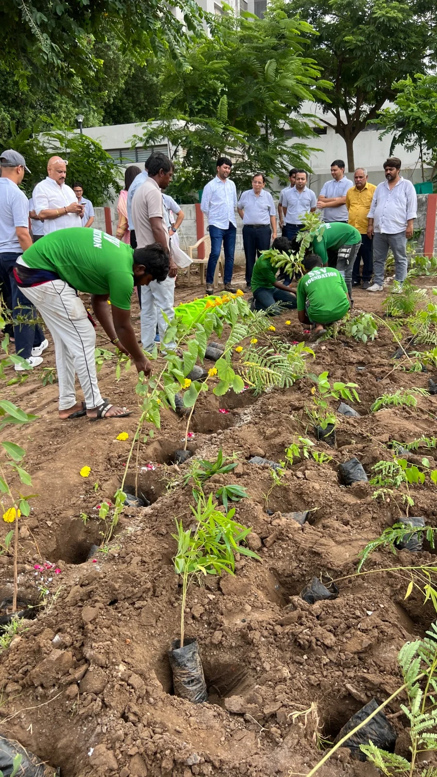 Environmental conservation initiative – Tree Plantation