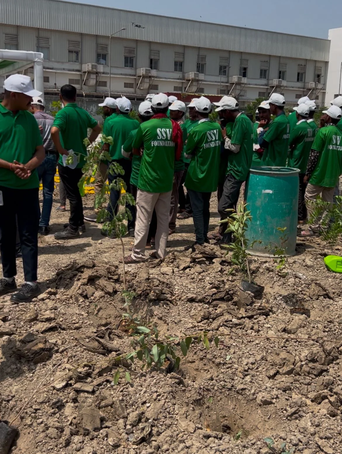 Environmental conservation initiative – Tree Plantation