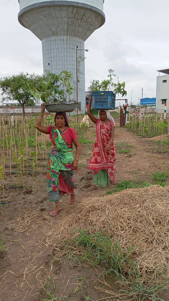 Environmental conservation initiative – Tree Plantation