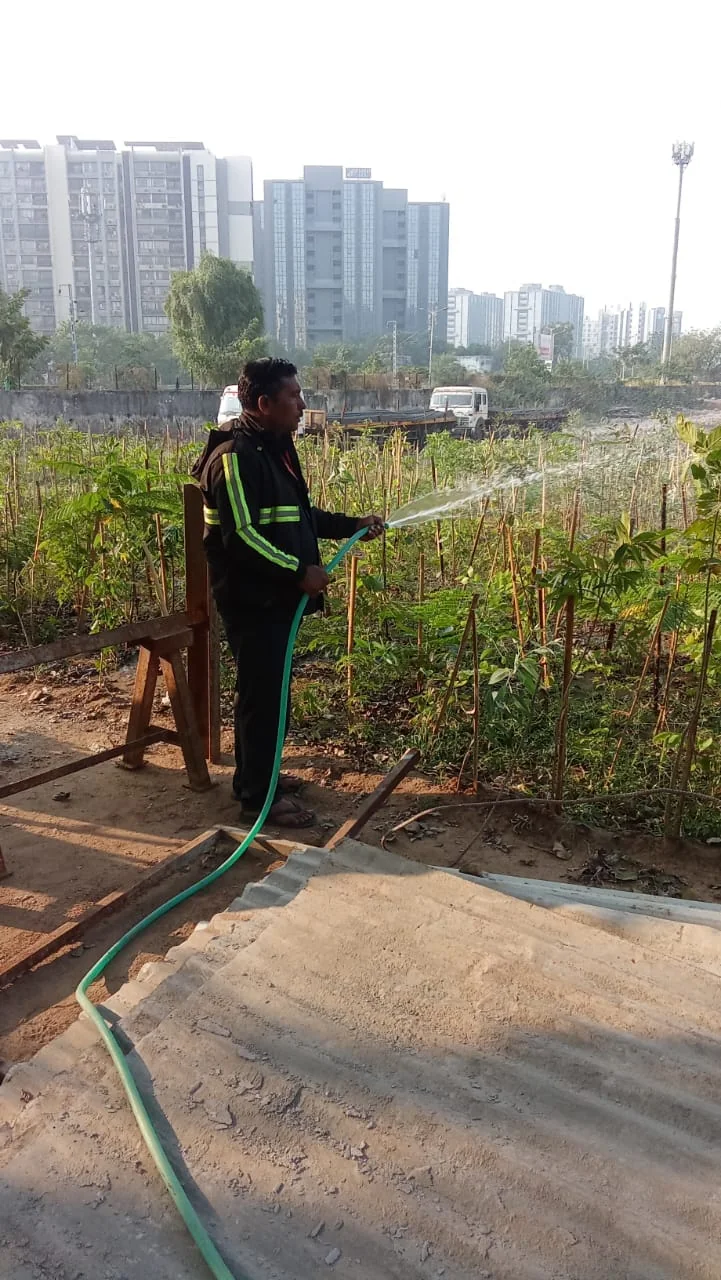 Environmental conservation initiative – Tree Plantation