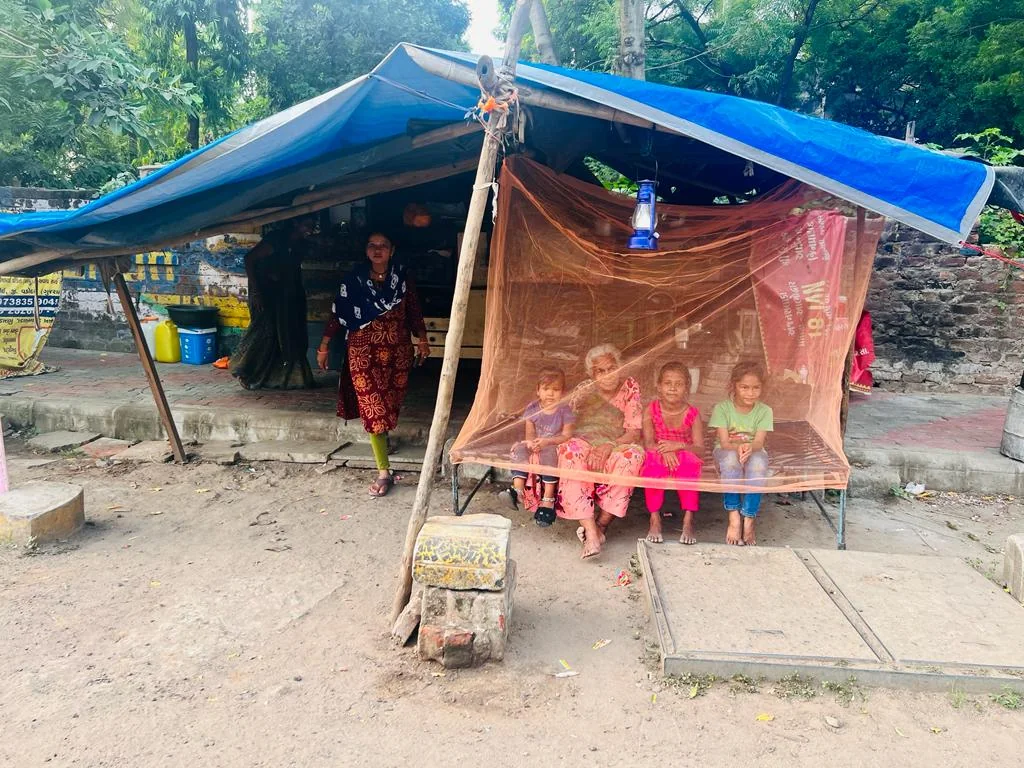 Tarpaulin and seasonal shelter support field activity in Gujarat